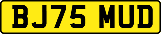 BJ75MUD
