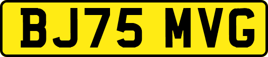 BJ75MVG