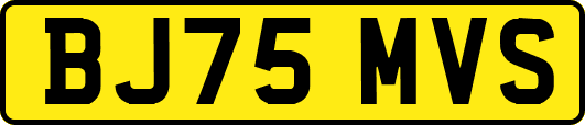 BJ75MVS