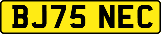 BJ75NEC