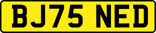 BJ75NED