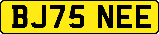 BJ75NEE