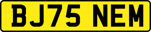 BJ75NEM