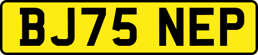 BJ75NEP
