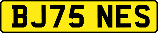BJ75NES