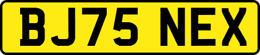 BJ75NEX
