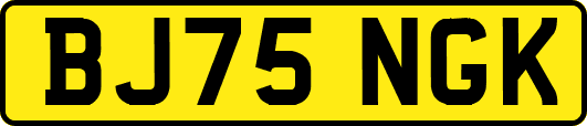 BJ75NGK