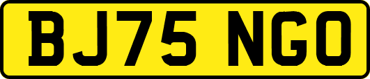 BJ75NGO
