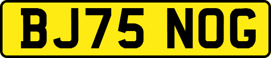 BJ75NOG