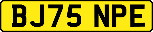 BJ75NPE