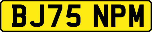 BJ75NPM