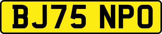 BJ75NPO