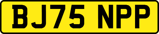 BJ75NPP