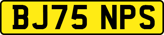 BJ75NPS