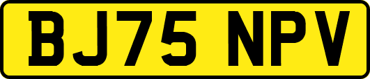 BJ75NPV