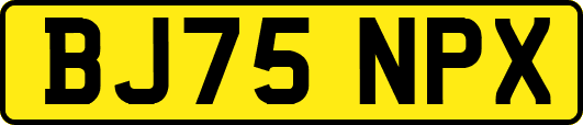 BJ75NPX