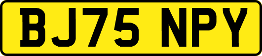 BJ75NPY