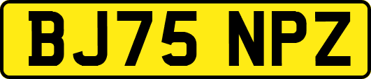 BJ75NPZ