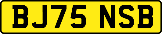 BJ75NSB