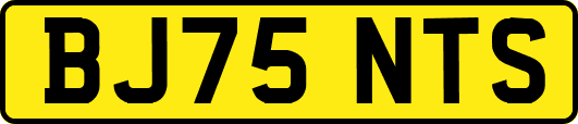 BJ75NTS