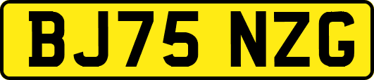 BJ75NZG