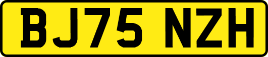 BJ75NZH