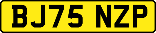 BJ75NZP