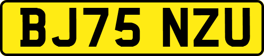 BJ75NZU