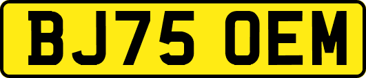 BJ75OEM