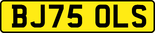 BJ75OLS