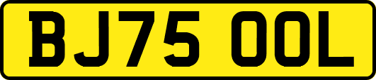 BJ75OOL