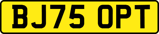 BJ75OPT