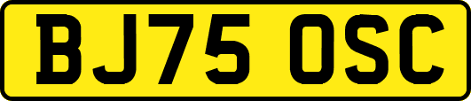 BJ75OSC