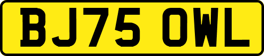 BJ75OWL