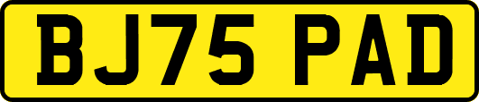 BJ75PAD