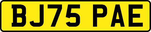 BJ75PAE