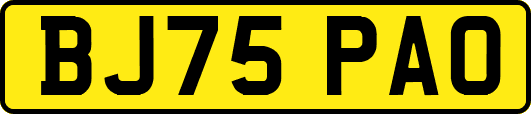BJ75PAO