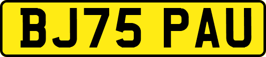 BJ75PAU