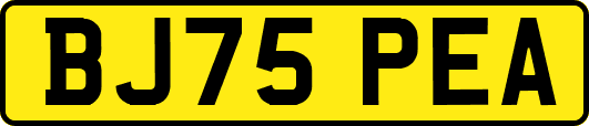 BJ75PEA
