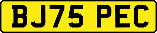 BJ75PEC