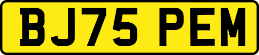 BJ75PEM