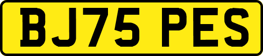 BJ75PES