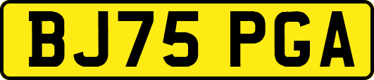 BJ75PGA