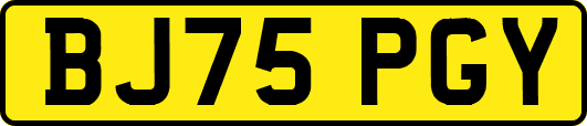 BJ75PGY