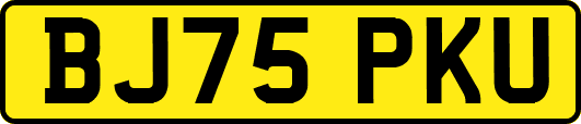 BJ75PKU