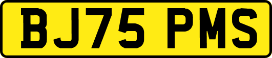 BJ75PMS