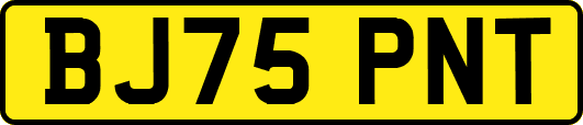 BJ75PNT