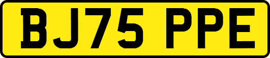 BJ75PPE