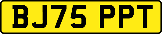 BJ75PPT