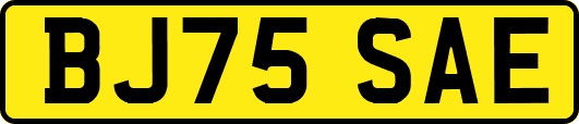 BJ75SAE